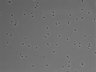 479-Ikebe-MorphResDL/CFIX_20220529_CFIX1_0013 thumbnail