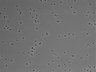 479-Ikebe-MorphResDL/CFIX_20220529_CFIX1_0014 thumbnail