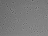 479-Ikebe-MorphResDL/CFIX_20220529_CFIX1_0017 thumbnail