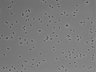 479-Ikebe-MorphResDL/CFIX_20220529_CFIX1_0018 thumbnail