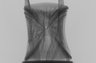 Thumbnail for dataset Chaunax_abei_SL209mm