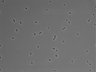 479-Ikebe-MorphResDL/CFIX_20220529_CFIX4_0003 thumbnail