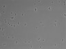 479-Ikebe-MorphResDL/CFIX_20220529_P_0006 thumbnail