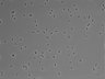 479-Ikebe-MorphResDL/CFIX_20220804_CFIX1_0011 thumbnail