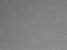479-Ikebe-MorphResDL/CFIX_20220804_CFIX2_0015 thumbnail