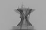 Thumbnail for dataset Cololabis_saira_SL274mm