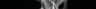Thumbnail for dataset Cololabis_saira_SL274mm