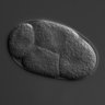 Thumbnail for dataset wt_N2_030217_04