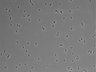 479-Ikebe-MorphResDL/CFIX_20220804_P_0003 thumbnail