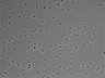 479-Ikebe-MorphResDL/CFIX_20220925_CFIX1_0010 thumbnail
