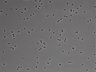479-Ikebe-MorphResDL/CFIX_20220925_CFIX1_0012 thumbnail