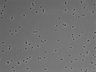479-Ikebe-MorphResDL/CFIX_20220925_CFIX1_0013 thumbnail