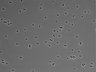 479-Ikebe-MorphResDL/CFIX_20220925_CFIX3_0006 thumbnail