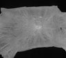 Thumbnail for dataset Hippoglossoides_dubius_SLV150mm