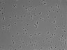 479-Ikebe-MorphResDL/CFIX_20220925_CFIX4_0014 thumbnail