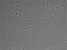 479-Ikebe-MorphResDL/CFIX_20220925_P_0003 thumbnail