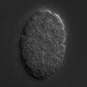 Thumbnail for dataset wt_N2_030218_02