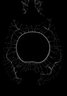 Thumbnail for dataset Lophius_litulon_SL452mm