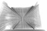 Thumbnail for dataset Lophius_litulon_SL452mm