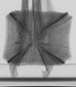 Thumbnail for dataset Lophius_litulon_SL623mm
