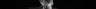 Thumbnail for dataset Macroramphosus_sagifue_SL89mm