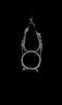 Thumbnail for dataset Macrorhamphosodes_uradoi_SL126mm