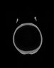 Thumbnail for dataset Pagrus_major_TL230mm