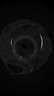 Thumbnail for dataset Plecoglossus_altivelis_altivelis_SL227mm