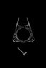Thumbnail for dataset Rexea_prometheoides_SL278mm