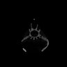 Thumbnail for dataset Sardinops_melanostictus_SL185mm