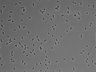 479-Ikebe-MorphResDL/CPFX_20220411_P_0011 thumbnail