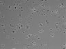 479-Ikebe-MorphResDL/CPFX_20220619_CPFX1_0006 thumbnail