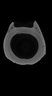 Thumbnail for Scarus_forsteni_SL182mm