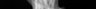 Thumbnail for dataset Scarus_forsteni_SL182mm