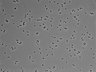 479-Ikebe-MorphResDL/CPFX_20220619_CPFX3_0020 thumbnail