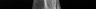 Thumbnail for dataset Scomber_japonicus_SL298mm
