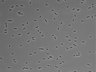479-Ikebe-MorphResDL/CPFX_20220619_P_0015 thumbnail
