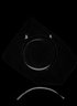 Thumbnail for dataset Sillago_japonica_SL188mm