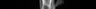 Thumbnail for dataset Sphyraena_pinguis_SL264mm