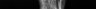 Thumbnail for dataset Takifugu_stictonotus_SLV93mm