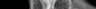 Thumbnail for dataset Thunnus_orientalis_SL429mm