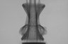 Thumbnail for dataset Trachurus_japonicus_TL320mm