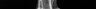 Thumbnail for dataset Trachurus_japonicus_TL320mm