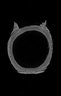 Thumbnail for dataset Zeus_faber_TL210mm