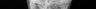 Thumbnail for dataset Zeus_faber_TL210mm