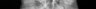 Thumbnail for dataset Zeus_faber_TL300mm