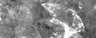 Thumbnail for dataset figS5_region1_elongation