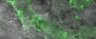 Thumbnail for dataset figS5_region2_elongation