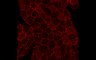 Thumbnail for dataset 2E3rdFBGlc-1_Render_SeriesR