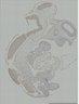 Thumbnail for dataset Figure4_Prox1_E10.5